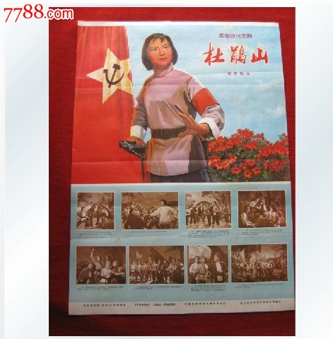 莱斯大学 Media diploma